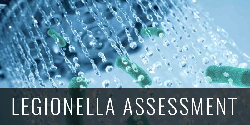 Legionella